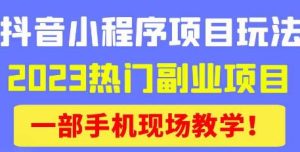 抖音小程序9.0新技巧，2023热门副业项目，动动手指轻松变现-甬战资源库