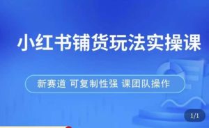 小红书铺货玩法实操课，流量大，竞争小，非常好做，新赛道，可复制性强，可团队操作-甬战资源库