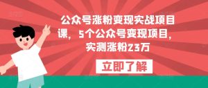 公众号涨粉变现实战项目课，5个公众号变现项目，实测涨粉23万-甬战资源库