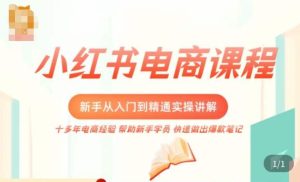 小红书电商新手入门到精通实操课,从入门到精通做爆款笔记,开店运营-甬战资源库
