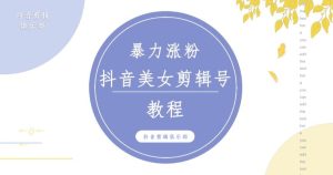 抖音快手暴力涨粉美女混剪视频教程，百分百过原创图片教程！附带违规申诉方法-甬战资源库