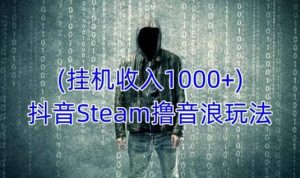 抖音Steam撸音浪玩法,挂机一天收入1000+不露脸 不说话 不封号 社恐人群福音-甬战资源库