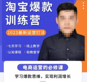 爱上黄昏·淘宝爆款训练营,2023最新运营打法,学习爆款思维,实现利润增长-甬战资源库