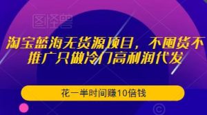 淘宝蓝海无货源项目,不囤货不推广只做冷门高利润代发,花一半时间赚10倍钱-甬战资源库