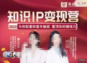 鹿盈盈-知识IP变现实操营,普通人可复制的知识产品落地实操课,带你打通知识IP变现底层逻辑-甬战资源库