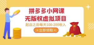 黄岛主·拼多多小网课无版权虚拟项目分享课:起店之后每天100-200收入-甬战资源库