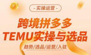 跨境拼多多TEMU实操与选品,掌握平台运营方法技巧,选品避坑12条标准,爆款的底层思路等-甬战资源库