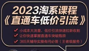 2023直通车低价引流玩法课程，小成本大流量，低价引流快速拉新收割，让你快速掌握直通车突破瓶颈-甬战资源库
