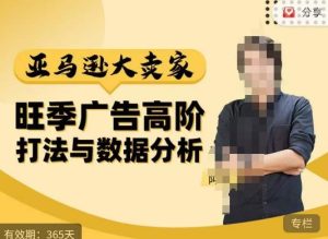 阿甘·亚马逊大卖家广告高阶打法与数据分析,走出传统广告误区;揭秘大卖惯用打法;数据驱动广告决策-甬战资源库