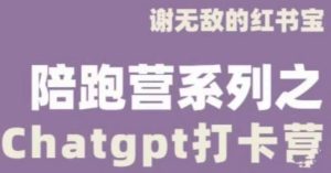 谢无敌ChatGPT打卡营，教你更好地使用ChatGPT来提高工作效率-甬战资源库