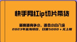 2023爆火的快手网红IP切片，号称日佣5000＋的蓝海项目，二驴的独家授权-甬战资源库