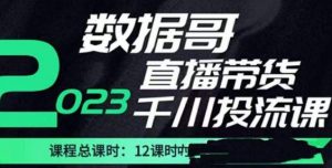 数据哥2023直播电商巨量千川付费投流实操课，快速掌握直播带货运营投放策略-甬战资源库