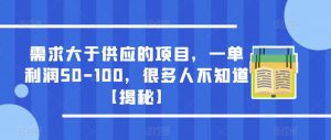 需求大于供应的项目，一单利润50-100，很多人不知道【揭秘】-甬战资源库