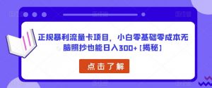 正规暴利流量卡项目,小白零基础零成本无脑照抄也能日入300+【揭秘】-甬战资源库