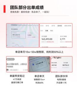 2023小红书电商火爆全网,新晋红利,风口项目,单店收益在3000-30000!-甬战资源库