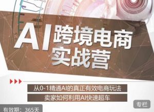 白龙老师·AI跨境电商实战营：从0-1精通Al的真正有效电商玩法，卖家如何利用Al快速超车-甬战资源库