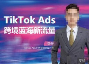 稳哥·如何投出高ROI的TikTok广告,开拓独立站卖家流量新蓝海-甬战资源库