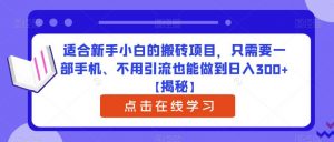 适合新手小白的搬砖项目，只需要一部手机、不用引流也能做到日入300+【揭秘】-甬战资源库