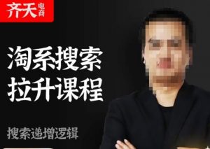 齐天电商·淘系搜索提升课程，​搜索递增标准化，动销标准化流程-甬战资源库
