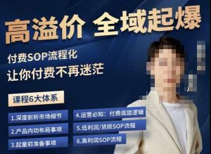 逸风-拼多多高溢价全域起爆，6大课程体系，付费玩法全套实操-甬战资源库