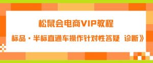 松鼠会电商VIP教程:松鼠《付费推广标品·半标直通车操作针对性答疑&诊断》-甬战资源库