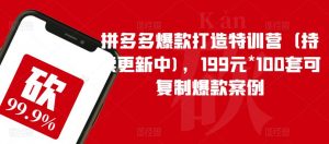 拼多多爆款打造特训营（持续更新中)，199元*100套可复制爆款案例-甬战资源库