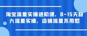 淘宝流量实操进阶课，8-15天放大流量实操，店铺流量不用愁-甬战资源库