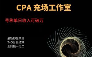 cpa充场工作室，号称单日收入10000+（揭秘）-甬战资源库
