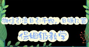 微信互推圈半自动引流方案,矩阵操作日引千人思路【详细视频教程】-甬战资源库