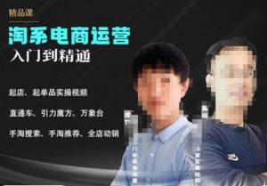 2023手淘搜索实操课+体系化课程，​起店起单品实操视频课程-甬战资源库