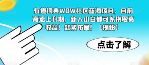 有道词典WOW社区蓝海项目，目前高速上升期，新人小白都可以换取高收益！赶紧布局！【揭秘】-甬战资源库