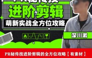 PR进阶剪辑培训班，让你快速成为剪辑大师12节视频课程+素材！-甬战资源库