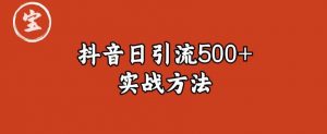 宝哥抖音直播引流私域的6个方法，日引流500+-甬战资源库