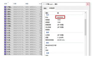 虚拟资源全自动成交系统,从0到1保姆级详细教程-甬战资源库
