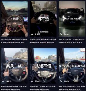 抖音开车视频项目，0基础操作，每天五分钟，月入1W+【揭秘】-甬战资源库
