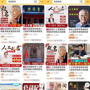拆解小红书宝宝起名虚拟副业项目，一条龙实操玩法分享给你（教程+软件）-甬战资源库