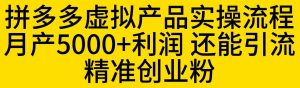 拼多多虚拟产品实操流程，月产5000+利润，还能引流精准创业粉【揭秘】-甬战资源库