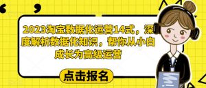 2023淘宝数据化运营14式，深度解析数据化知识，帮你从小白成长为高级运营-甬战资源库