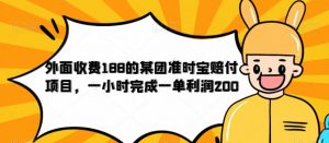 外面收费188的美团准时宝赔付项目，一小时完成一单利润200【仅揭秘】-甬战资源库