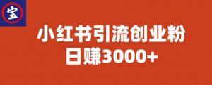 宝哥小红书引流创业粉，日赚3000+【揭秘】-甬战资源库