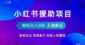 小红书援助项目新奇玩法，简单暴力，无脑搬运轻松日入500【揭秘】-甬战资源库