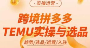伍跃·跨境拼多多TEMU实操与选品，​趋势/选品/运营/入住（27节完整）-甬战资源库