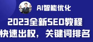 2023最新网站AI智能优化SEO教程,简单快速出权重,AI自动写文章+AI绘画配图-甬战资源库
