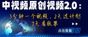 中视频原创视频2.0：3分钟一个视频，2天过计划，7天看效果【揭秘】-甬战资源库
