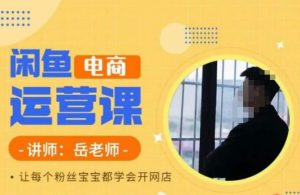 岳老师·闲鱼电商运营课，让每个粉丝宝宝都学会开网店-甬战资源库
