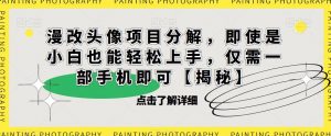 漫改头像项目分解，即使是小白也能轻松上手，仅需一部手机即可【揭秘】-甬战资源库