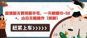 极速版无费用薅羊毛,一天躺赚10-50+,小白无脑操作【拆解】-甬战资源库