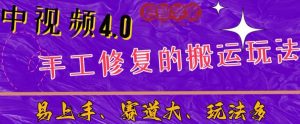 中视频4.0赛道：新手福音，一小时制作，三天过计划，7天看效果【揭秘】-甬战资源库