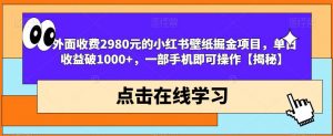 外面收费2980元的小红书壁纸掘金项目，单日收益破1000+，一部手机即可操作【揭秘】-甬战资源库