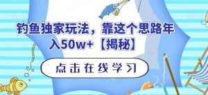 钓鱼独家玩法，靠这个思路年入50w+【揭秘】-甬战资源库